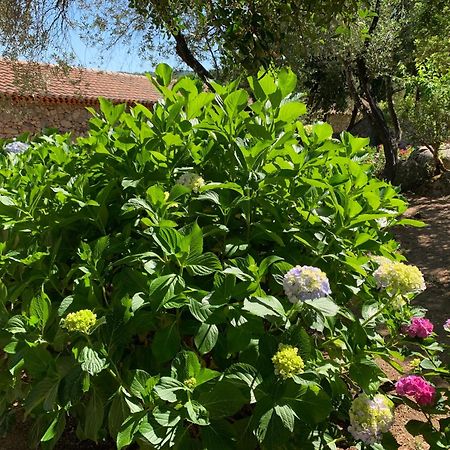 Hotel Valkarana Country Relais (Adults Only) سانت أنطونيو دي غالورا المظهر الخارجي الصورة